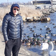 ���������� ������, ���� ������� Gocha, 37 ���, ������������ ��� ������, ����� � ���������, c�������� ���������