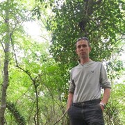  ,   Dima, 41 ,     , c 