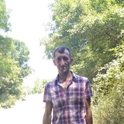  ,   , 41 ,  