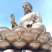 � �����.