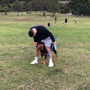  -,   , 33 ,   ,   , c 