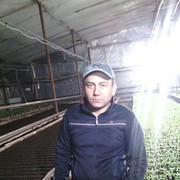  ,  , 36