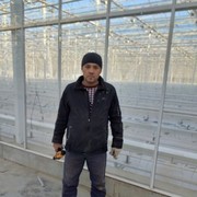  ,   , 36 ,     , c , 