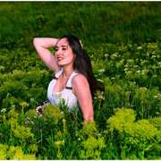 ���������� ���������, ���� ������� �����, 44 ����, ������������ ��� ������, ����� � ���������, c�������� ���������