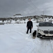 ���������� �����������, ���� ������� �����, 37 ���, ������������ ��� ������, ����� � ���������