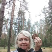 ���������� �����, ���� ������� ����, 56 ���, ������������ ��� ������, ����� � ���������, c�������� ���������