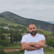  ,   Art, 46 ,   ,   