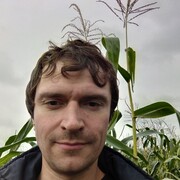 ���������� �����������, ���� ������� ���������, 35 ���, ������������ ��� ������, ����� � ���������, c�������� ���������