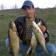 ���������� ����, ���� ������� ��������, 49 ���, ������������ ��� c�������� ���������, ���������