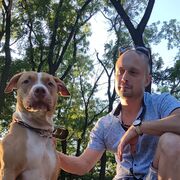 ���������� ���������, ���� ������� �����, 41 ���, ������������ ��� ������, ����� � ���������