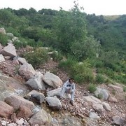  ,   , 34 ,     , c 