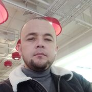  -,   , 31 ,   ,   , c 