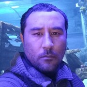  ,   , 38 ,   ,   