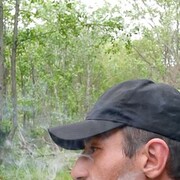  -,  , 33
