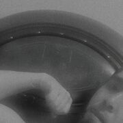 ���������� ������, ���� ������� ����, 31 ���, ������������ ��� ������, ����� � ���������, ���������