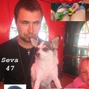  ,   Seva, 37 ,   ,   , c 