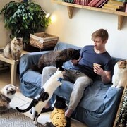  ,   , 30 ,   ,   , c 