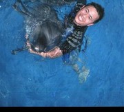 ���������� �����, ���� ������� Hua, 28 ���, ������������ ��� ������, ����� � ���������, c�������� ���������