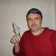  ,   , 52 ,   ,   , c 