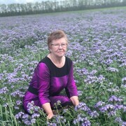  ,   , 65 ,   c , 