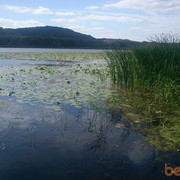 ���������� ����, ���� ������� SERGEY, 48 ���, ������������ ��� ������