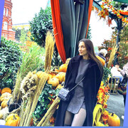 ���������� ���������, ��������