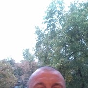 ,  , 44