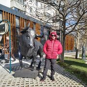 ���������� ������������, ���� ������� ���������, 50 ���, ������������ ��� ����� � ���������, ���������