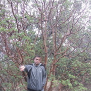  ,   Alik, 50 ,   ,   , c 