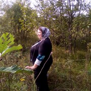   ,   , 50 ,     , c 