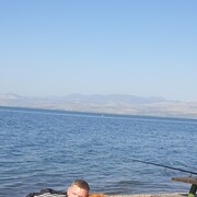  Ashqelon,   , 39 ,   ,   , c 