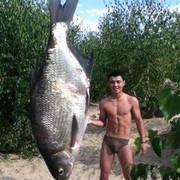 ���������� ������, ���� ������� ������, 33 ����, ������������ ��� ������