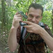 ���������� ������ ��������, ���� ������� ������, 48 ���, ������������ ��� ������, ����� � ���������, c�������� ���������