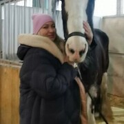 ���������� �����, ���� ������� �����, 53 ����, ������������ ��� c�������� ���������