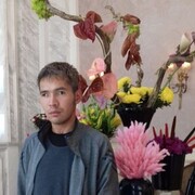 ���������� ������, ���� ������� �����, 37 ���, ������������ ��� ������, ����� � ���������, c�������� ���������