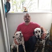  Reinach,   Vio, 44 ,   ,   , c 
