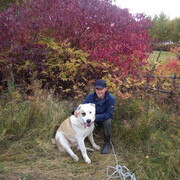 ���������� ���������, ���� ������� �������, 40 ���, ������������ ��� ������, ����� � ���������, c�������� ���������