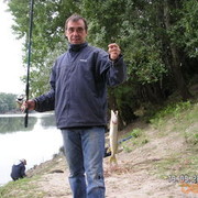  ,   Beko, 59 ,   
