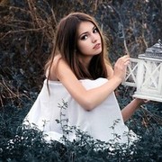  ,  , 29