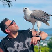 ���������� ������, ���� ������� Adam, 40 ���, ������������ ��� ������, ����� � ���������, c�������� ���������