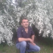  ,   , 39 ,   