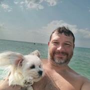  ,   , 44 ,   ,   , 