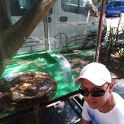  ,   Igor, 43 ,   ,   , c 