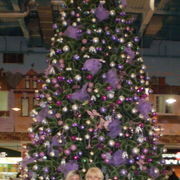 ���������� ����, ���� ������� ����, 39 ���, ������������ ��� ����� � ���������, c�������� ���������