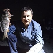  ,   , 51 ,   ,   , c , 