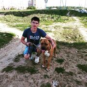  ,   , 26 ,   ,   , 