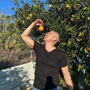 ���������� �������, ���� ������� ������, 61 ���, ������������ ��� ������, ����� � ���������