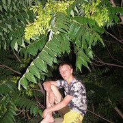 ���������� ������, ���� ������� ������, 39 ���, ������������ ��� ������