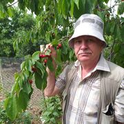 ���������� ���������, ���� ������� ���������, 67 ���, ������������ ��� ������, ����� � ���������, c�������� ���������, ���������