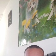  ,  , 33